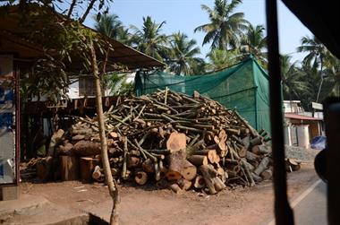 On the Route to Chowara Beach,_DSC_9411_H600